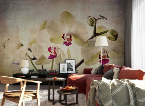 Fototapeta orchidea vintage
