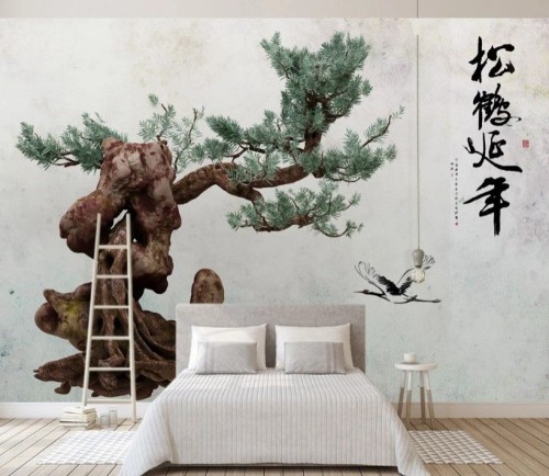 Fototapeta Bonsai świerk 