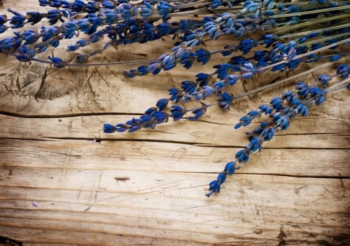 Fototapeta Lavender Spa na tle drewna