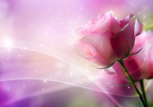Fototapeta Art Design Roses. Karta Zaproszenie