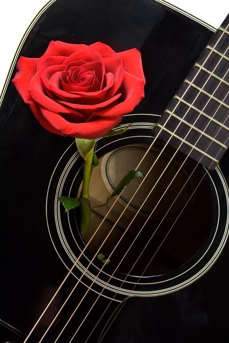 Fototapeta Czerwona róża w środku starego czarnym gitara akustyczna