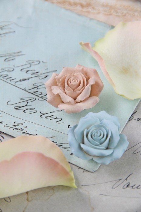 Fototapeta Vintage Rose
