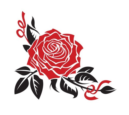 Fototapeta Vector_rose
