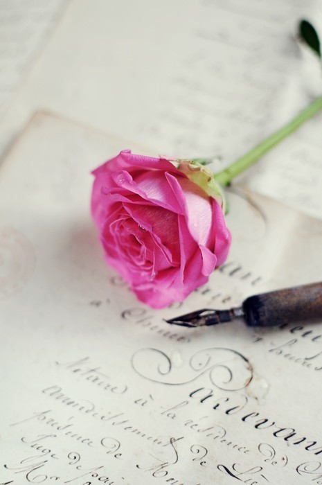 Fototapeta Vintage Rose