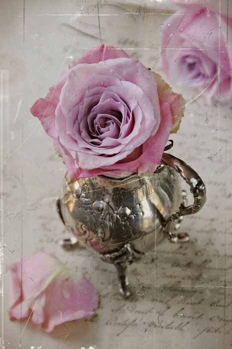 Fototapeta Vintage Rose