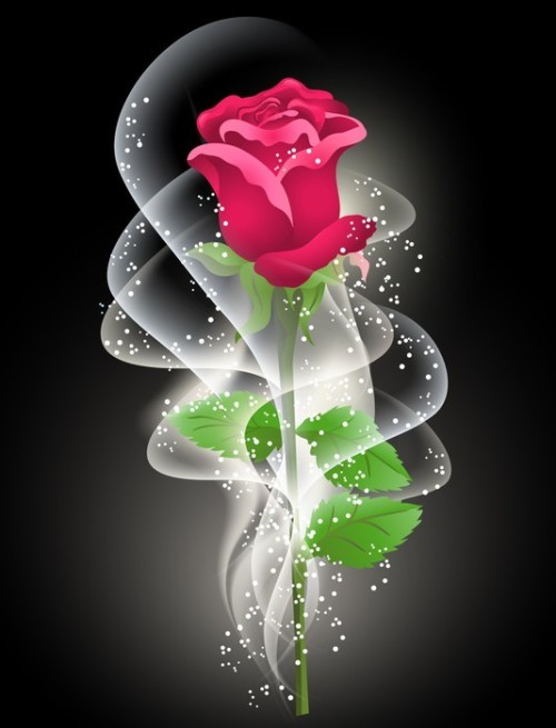 Fototapeta Rose i dym
