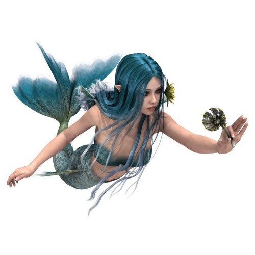 Fototapeta Blue Mermaid Sea Lily gospodarstwa