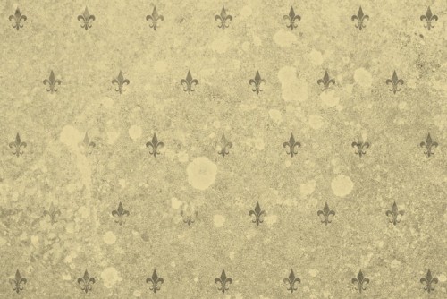 Fototapeta Sepia tle z liliami w Florencji