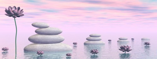 Fototapeta Zen kwiaty lilii - 3D render