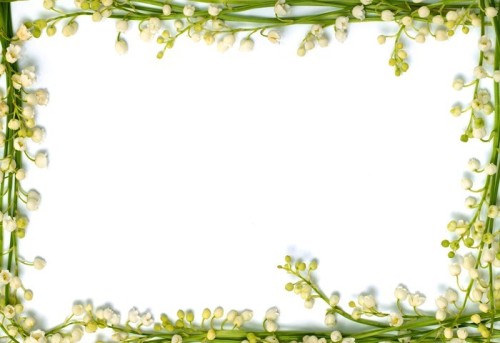 Fototapeta Konwalia kwiaty na ramki granicy papieru samodzielnie Horizo