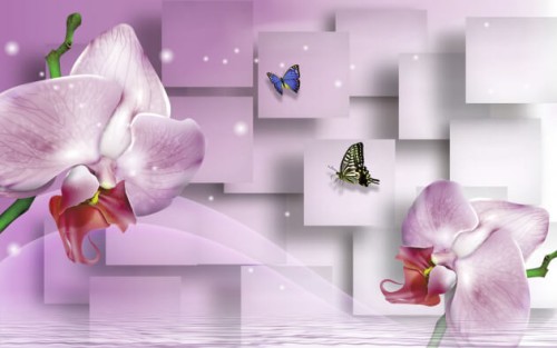 Fototapeta Orchidee w zbliżeniu