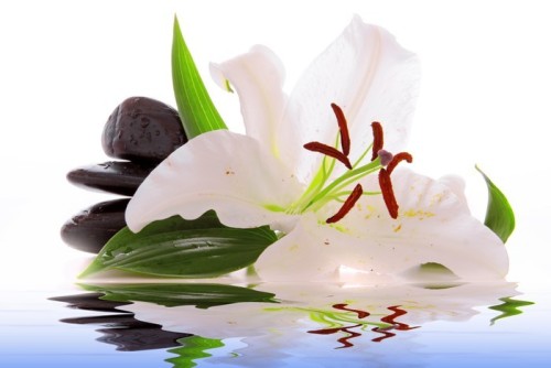 Fototapeta Wellness Stones
