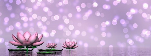 Fototapeta Kwiaty lilii - 3d render