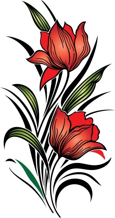 Fototapeta Blooming lily composoyion