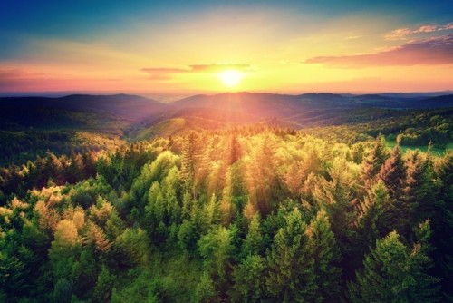 Fototapeta Malerischer sonnenuntergang über dem wald