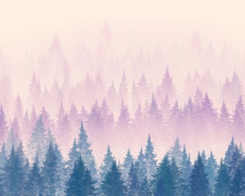 Fototapeta Las we mgle. minimalistyczna ilustracja. cyfrowy rysunek.