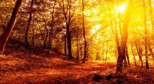 Fototapeta Herbst landschaft