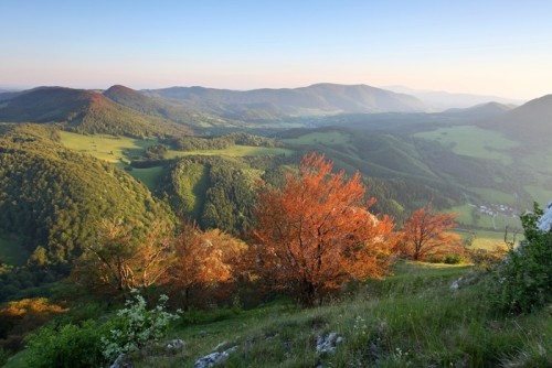 Fototapeta Wiosna landscepe