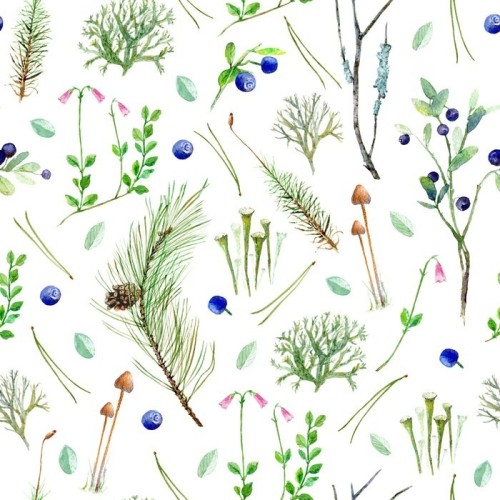 Fototapeta Sosnowy las kwiatów bezszwowe pattern.Watercolor ilustracji z jagód, gałęzi drzew iglastych, pinecone, mchu, grzybów, lichen.Watercolor Ręcznie rysowane ilustracji.