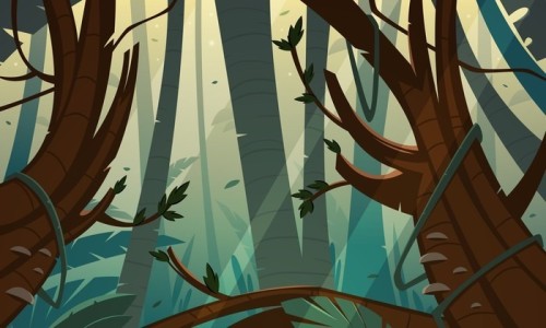 Fototapeta Tropical Rainforest Jungle