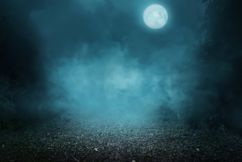 Fototapeta Spooky mglisty las