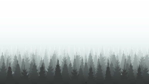 Fototapeta Las iglasty szablon sylwetki. Woods ilustracji