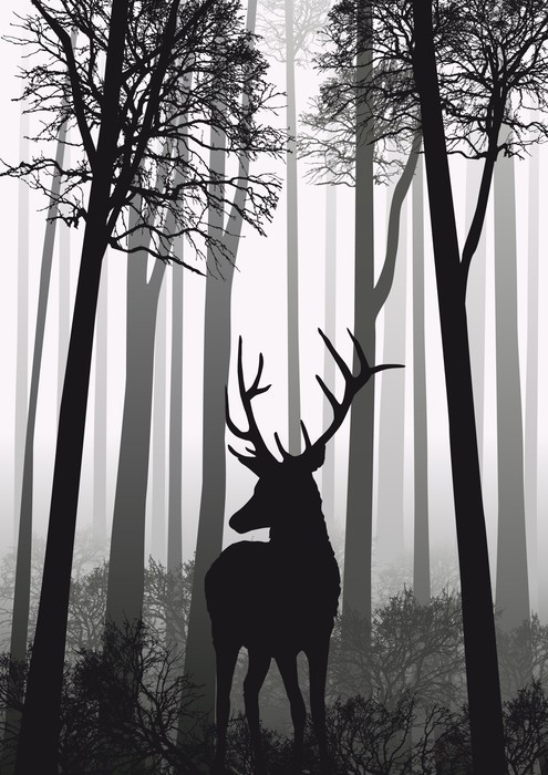 Fototapeta Cerf foret