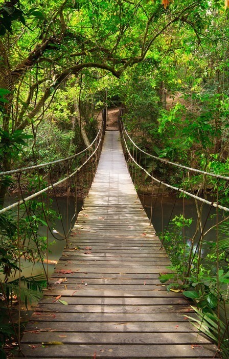 Fototapeta Most do dżungli, park narodowy Khao Yai, Tajlandia