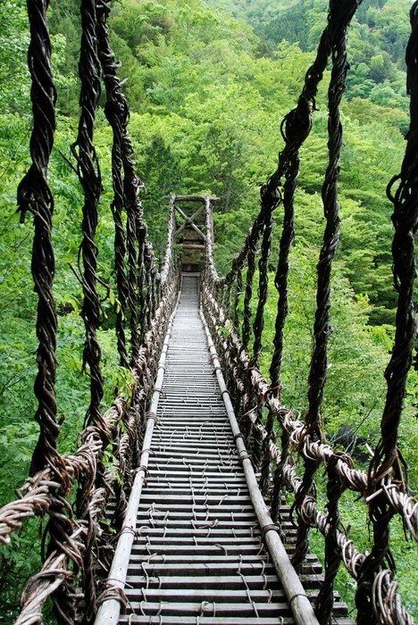 Fototapeta Pont de lianes Kazura kredytowej-à oku Sikoku, Japonia