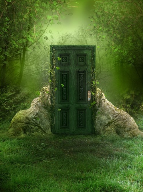 Fototapeta Fantazja tle lasu