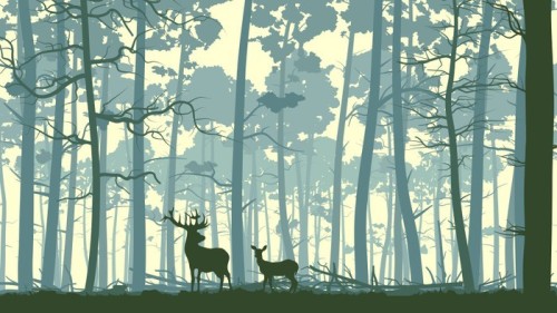 Fototapeta Streszczenie ilustracji dzikich zwierząt w lesie.