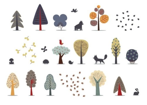 Fototapeta Ilustracja wektora z płaskich elementów leśnych - różnych drzew, dzikich zwierząt i seeds._
