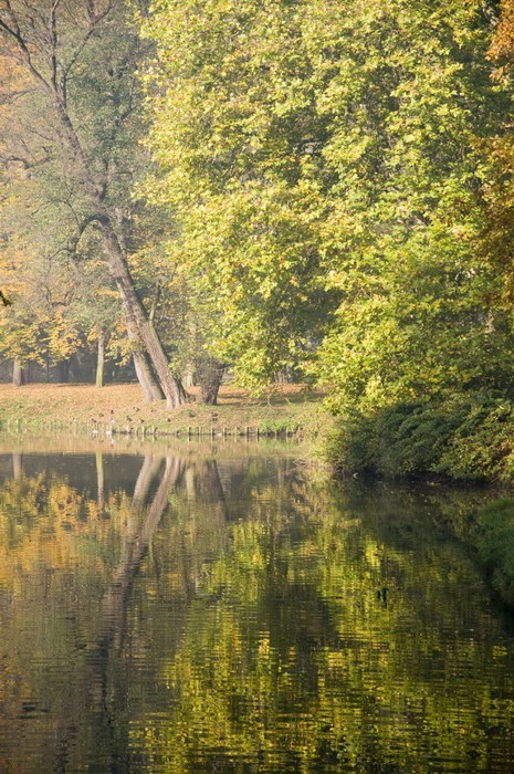 Fototapeta Wcześnie rano w parku jesienią