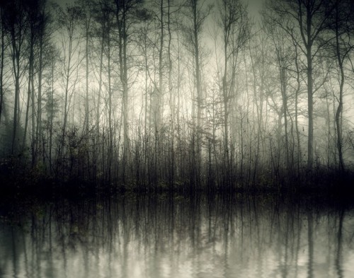 Fototapeta Nebel