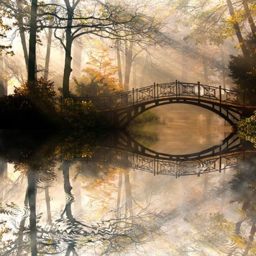 Fototapeta Jesień - Stary most w parku jesienią misty