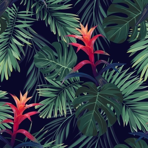 Fototapeta Ręcznie rysowane kwiatowy wzór z kwiatów guzmania, monstera i liści palmowych. egzotyczne hawajskie tło wektor.