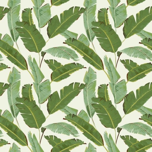 Fototapeta Seamless Pattern. Tropical Palm pozostawia tła. Liście bananowca