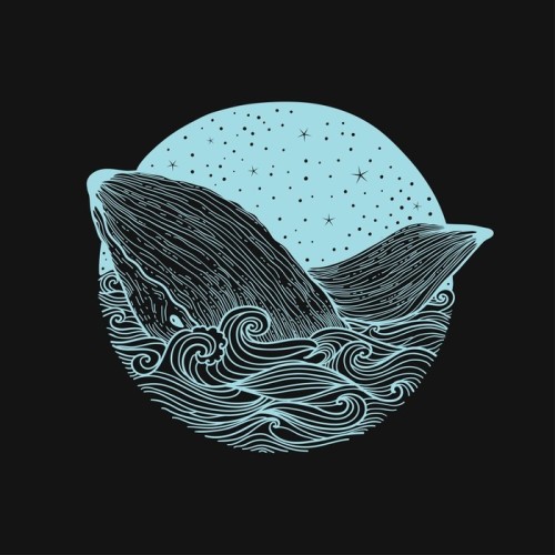 Fototapeta Whale skoków z fal na tle nocnego nieba i gwiaździste fale curl z elementami doodle zentangle, projektowanie do druku odzieżowym, karty, zaproszenia, druk cover.isolated na białym tle