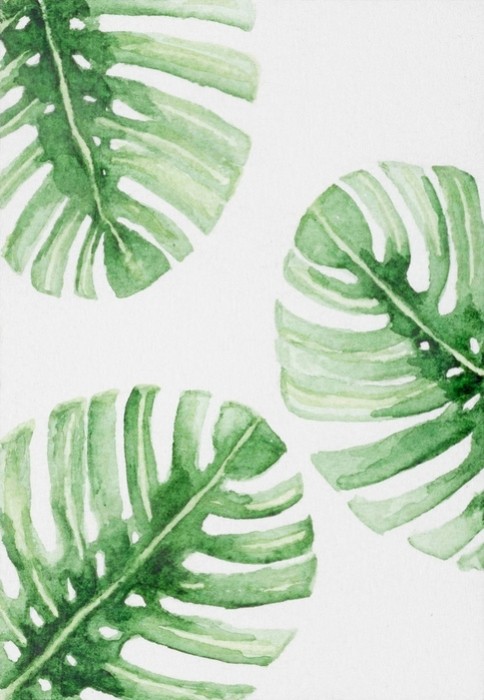 Fototapeta Ręcznie malowane abstrakcyjne liście akwarela roślin monstera.