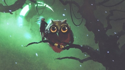 Fototapeta Gigantyczna sowa i jej właściciel stojący na gałęzi w lesie nocy z zielonym niebem, cyfrowy styl sztuki, cyfrowych ilustracji