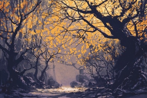 Fototapeta Nocna scena jesiennego lasu, pejzaż