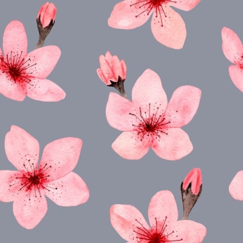Fototapeta Wzór ręcznie rysowane akwarela kwiat wiśni, delikatne kwiaty. japońska sakura. projekt zaproszenia na ślub, tkaniny, opakowania, tekstylia, okładka, pocztówka, papier, kartki okolicznościowe, blog.