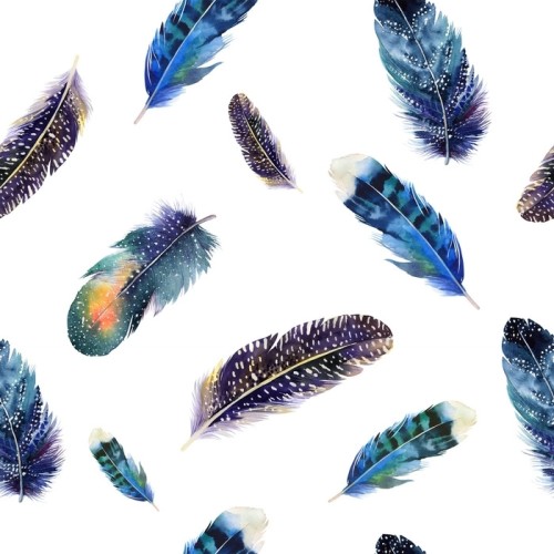 Fototapeta Akwarela ptaki pióra wzór boho. bezszwowa tekstura z ha