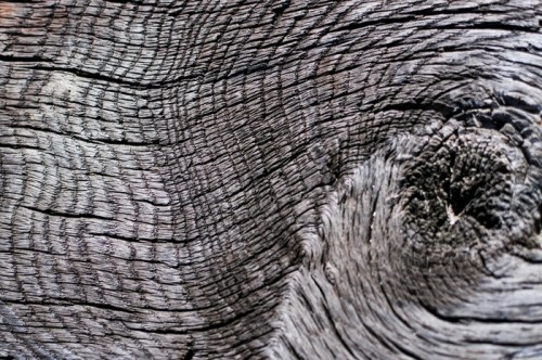 Fototapeta Holz
