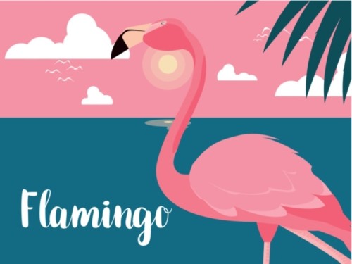 Fototapeta Piękny pejzaż ptaka flamingo