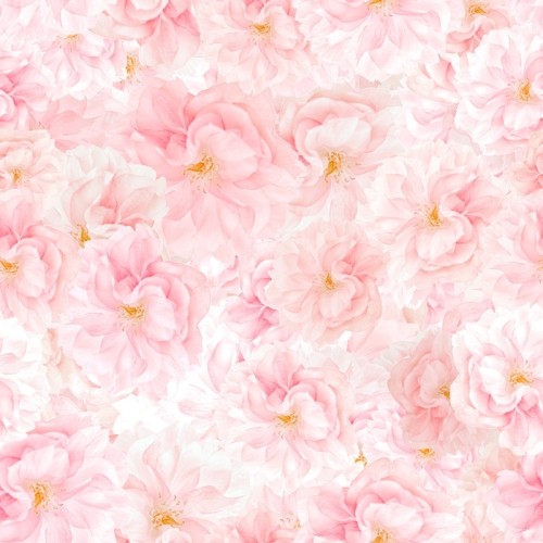 Fototapeta Wzór kwiatów Sakura