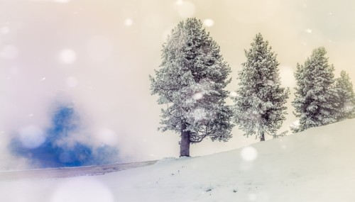 Fototapeta Winterliches schneegestöber, textfreiraum