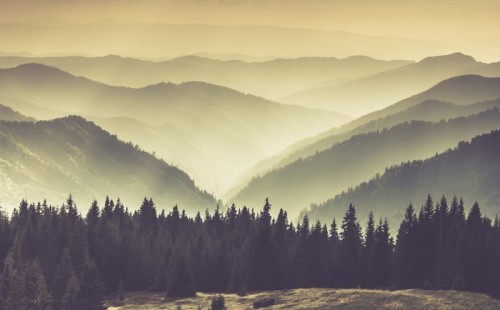 Fototapeta Mgliste górskie zbocza