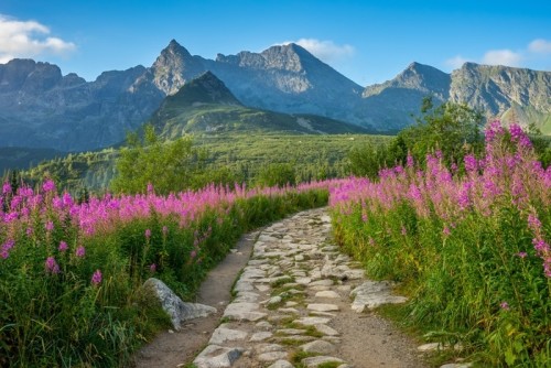 Fototapeta Hala gąsienicowa, tatry, pejzaż górski