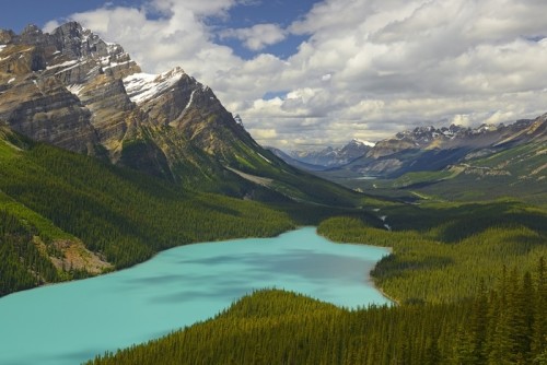 Fototapeta Peyto jezioro w parku narodowym banff, alberta, kanada, park narodowy banff to światowe dziedzictwo unesco